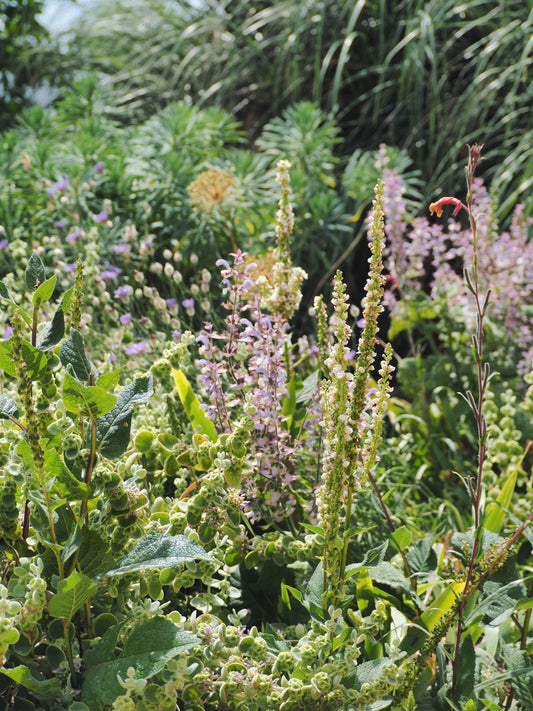 Charleston Garden Festival | Jinny Blom and Laura Ford