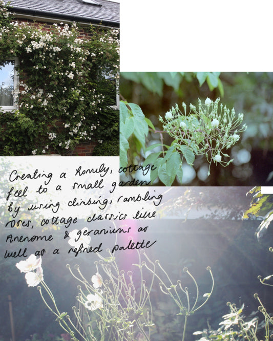 My Story into Garden Design