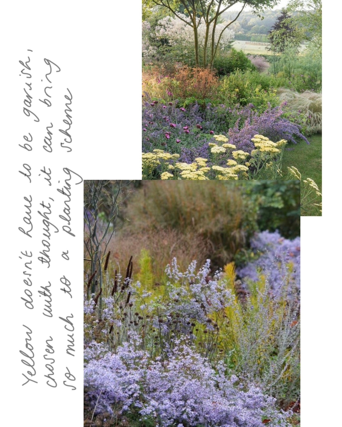 How to design your garden using yellow?