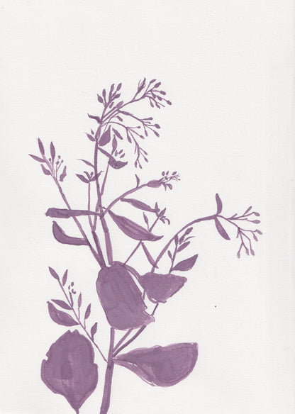 Sedum Ink Drawing