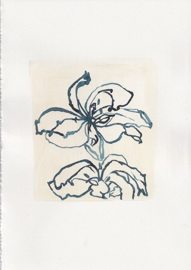 Tulip Study II