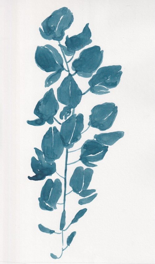 Wisteria Flower in Blue